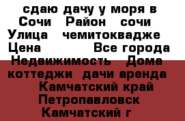 сдаю дачу у моря в Сочи › Район ­ сочи › Улица ­ чемитоквадже › Цена ­ 3 000 - Все города Недвижимость » Дома, коттеджи, дачи аренда   . Камчатский край,Петропавловск-Камчатский г.